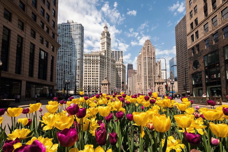 Primavera no centro de Chicago