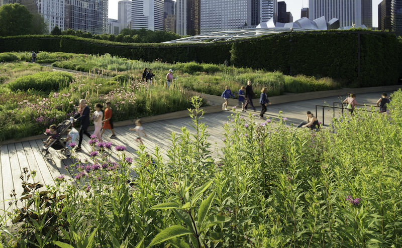 Millennium Park em Chicago: Lurie Garden