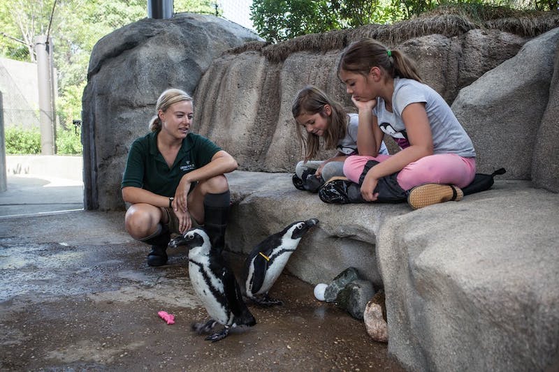 Crianças no Lincoln Park Zoo em Chicago