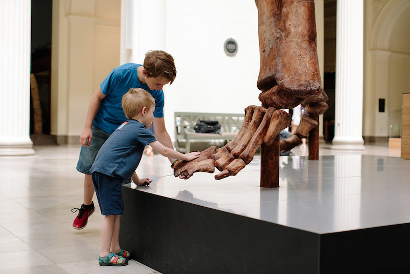 Crianças e esqueleto de dinossauro no Field Museum of Natural History em Chicago